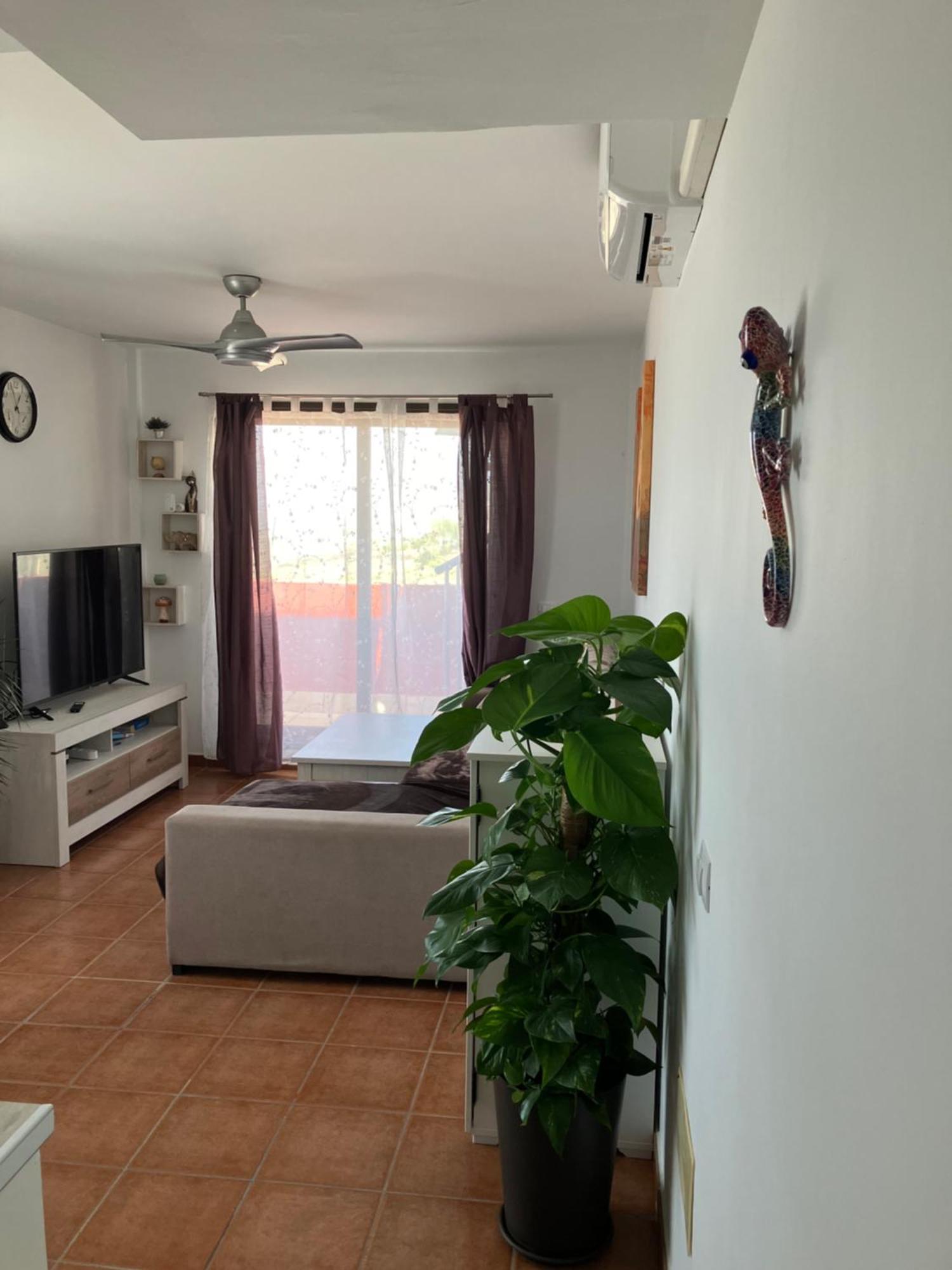 Narancsvirag Apartment Tejina de Isora ภายนอก รูปภาพ